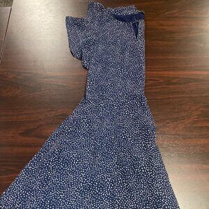 Blue with white polka dot womans Banana Republic dress size 12